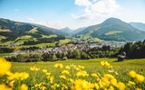 Panorama mit einer Blumenwiese
