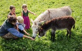 Familien-Sommer