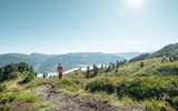 Wanderer am Arbiskopf