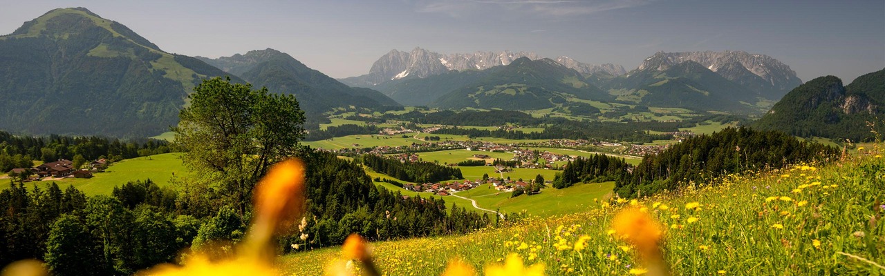 Bergpanaroma in der Region Kaiserwinkl