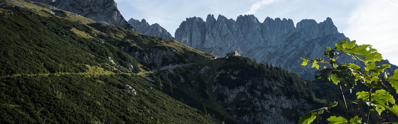 Blick auf den Wilden Kaiser