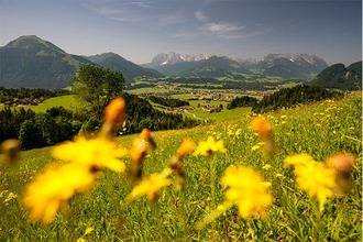 Bergpanorama in der Region Kaiserwinkl