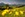 Bergpanorama in der Region Kaiserwinkl
