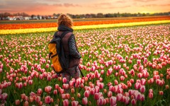 Frau in einem Tulpenfeld
