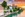 Basel Panorama