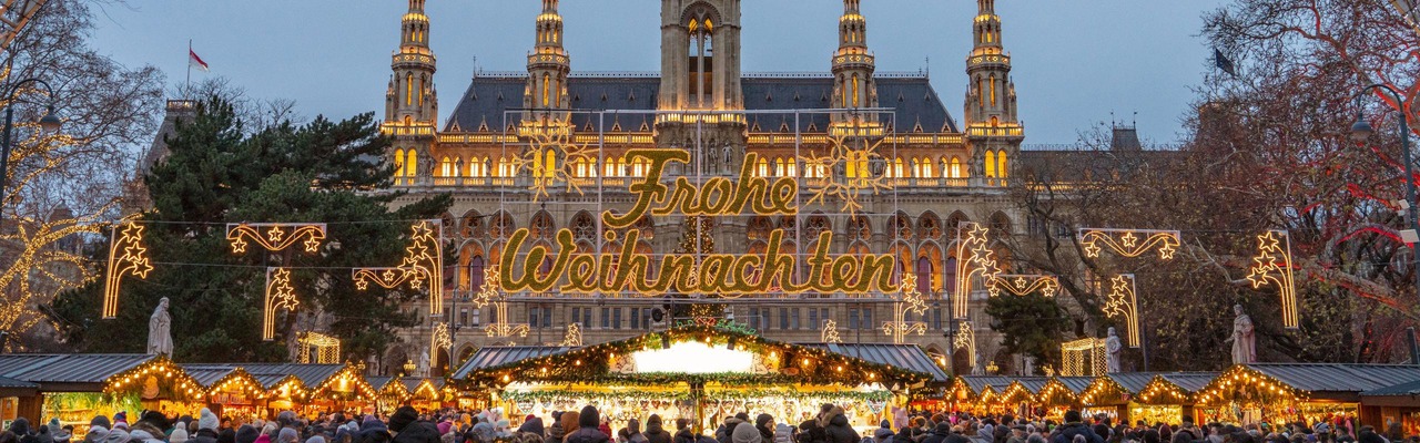 Christmas Market in Vienna Austria 