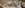 Panoramablick über Rom