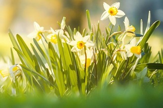 Frühling