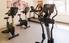 Plaza Premium Wien Fitness