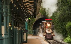 Disneyland®Park,Train
