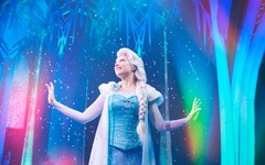 FROZEN A MUSICAL INVITATION