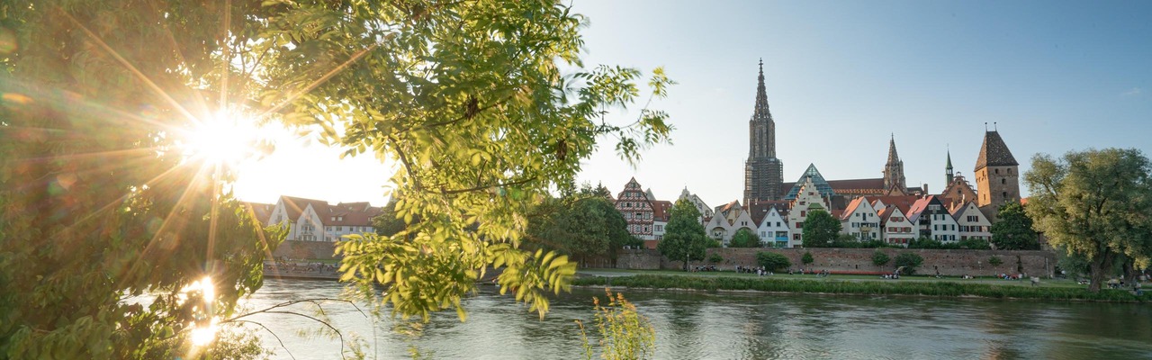 Blick durch dichtes Flussufergrün über das Wasser auf Altstadthäuser und Kirchtürme, Sonne strahlt durch die Baumkrone.<br/>