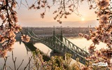 Blick auf die Kettenbrücke