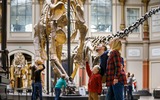 Naturkundemuseum