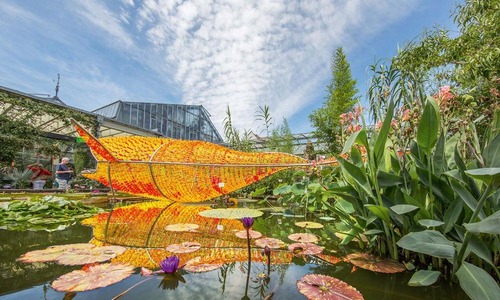 Botanischer Garten, Erlangen © ETM /Seebeck Botanischer Garten, Erlangen