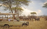 Auf Safari