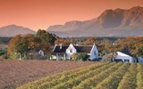 Kapholländisches Weingut