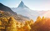 Golden Summer beim Matterhorn 