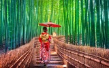 Bambuswald in Kyoto
