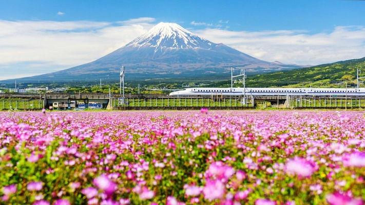 Der Shinkansen-Express am Fuße des Fuji