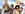 smiling friends taking selfie with smartphone