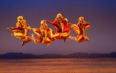 Disneys König der Löwen Löwinnen