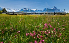 Golden Pass Line Panorama Blumenwiese