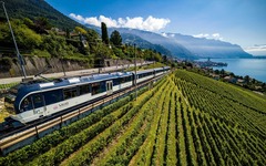 Golden Pass Line Panorama Weinberg
