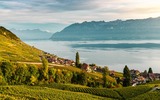Weinberge bei Montreux