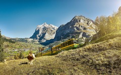 Wengernalpbahn Grindelwald Wetterhorn Herbst Sommer