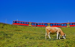 Jungfraubahn