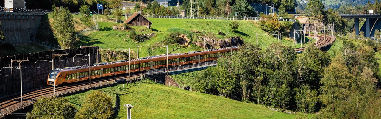 Gotthard Express