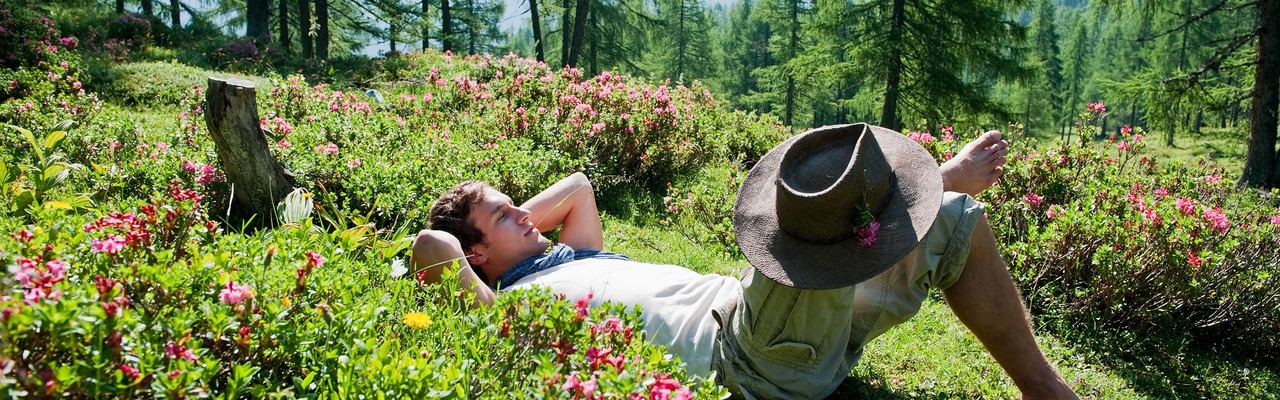 Wanderer liegt in der Wiese