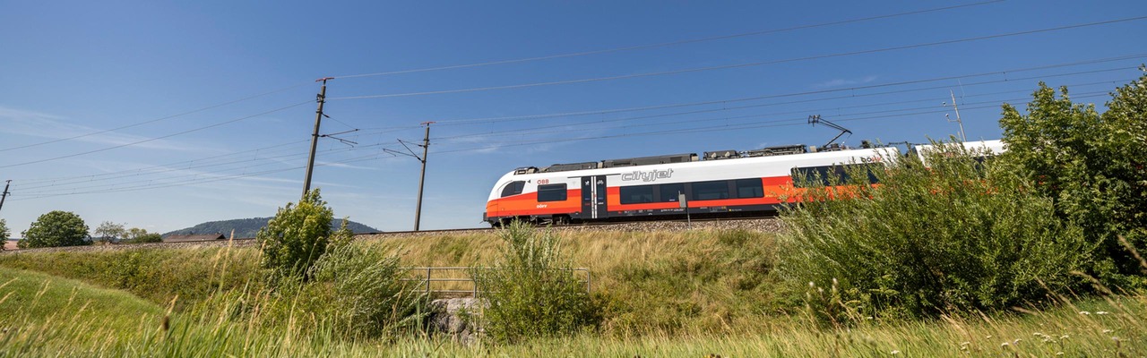 Desiro in sommerlicher Landschaft
