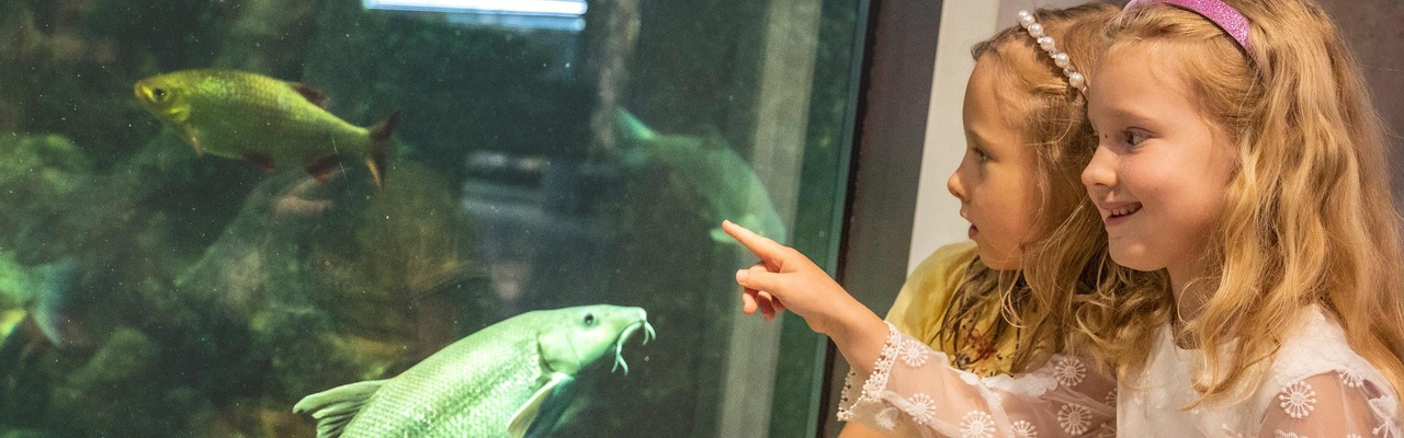 Museum Niederösterreich - Kinder vor Aquarium