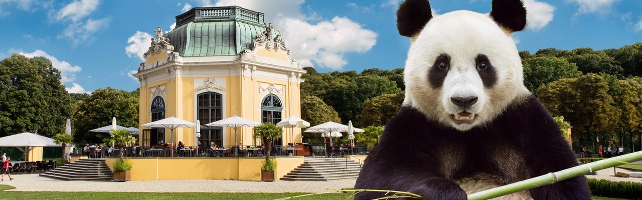 Tierkollage im Tiergarten Schönbrunn in Wien