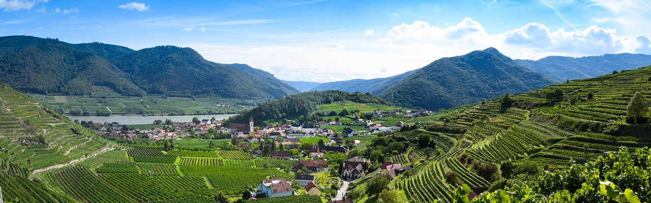 Panoramic view over the Wachau mountains