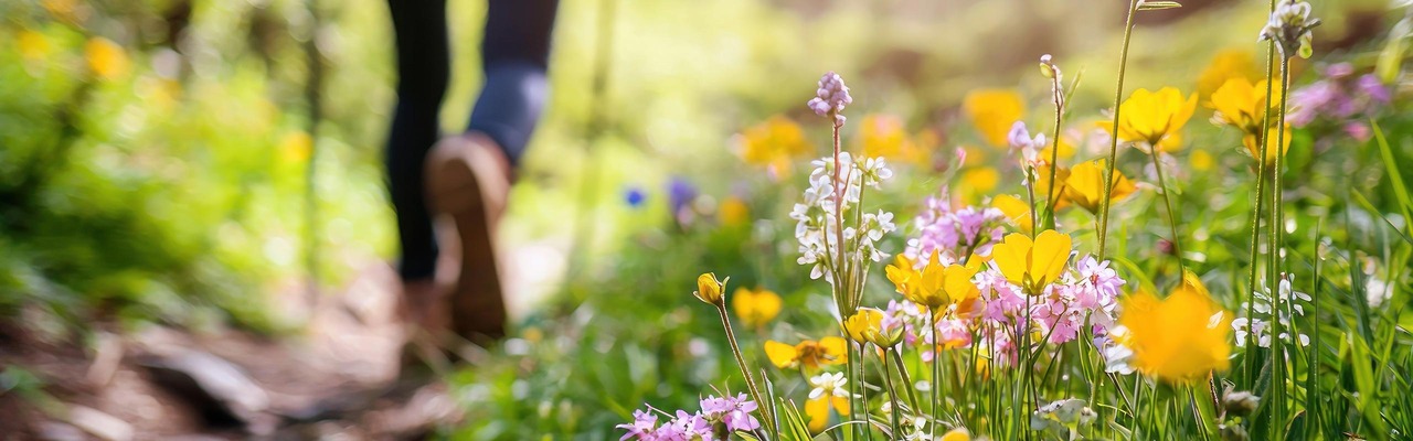 Nahaufnahme von Füßen eines Wanderers
