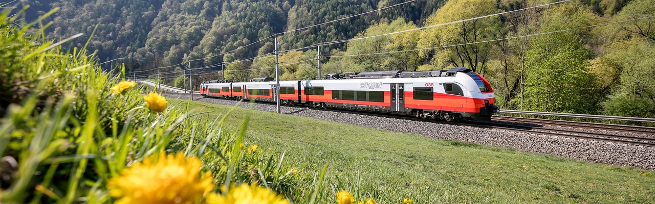 Cityjet in Frühlingslandschaft