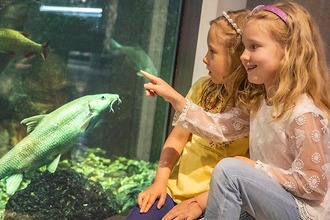 Sujet Museum Niederösterreich - Wildnis Stadt