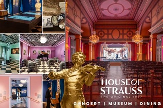 © houseofstrauss House of Strauss Sujet