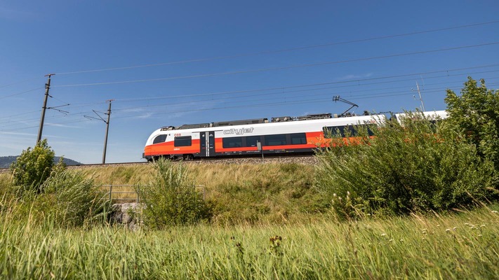 Desiro in sommerlicher Landschaft