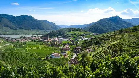 Panoramic view over the Wachau mountains