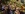 Wanderung mit Lukas Kranzelbinder 