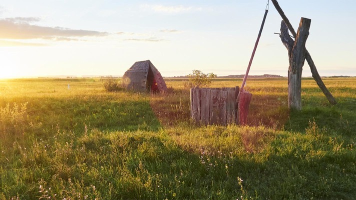 Graslandschaft bei Dämmerung
