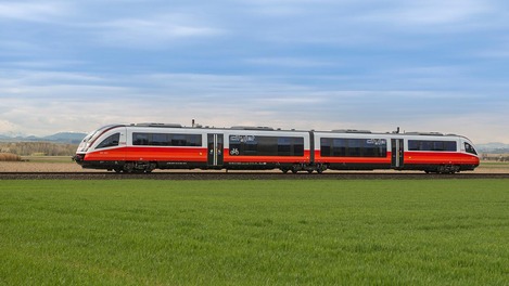 DESIRO von der Seite in schöner Wiesenlandschaft