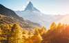Golden Summer beim Matterhorn 