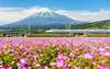 Der Shinkansen-Express am Fuße des Fuji 