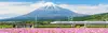 Der Shinkansen-Express am Fuße des Fuji