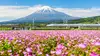 Der Shinkansen-Express am Fuße des Fuji